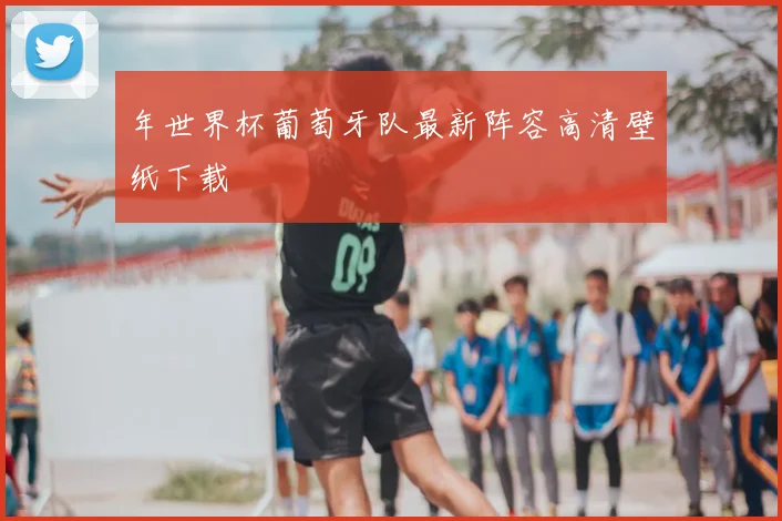 年世界杯葡萄牙队最新阵容高清壁纸下载