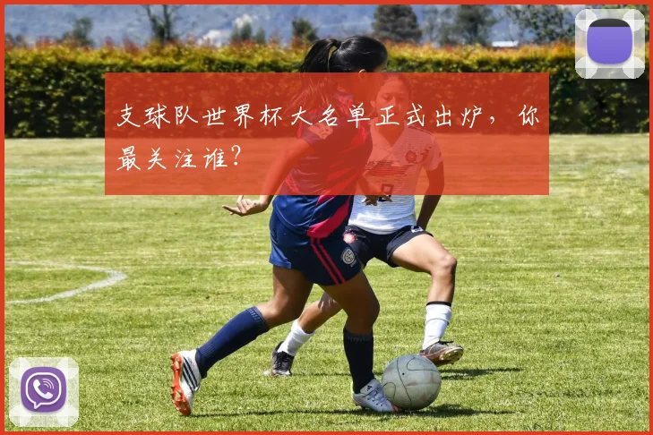 支球队世界杯大名单正式出炉，你最关注谁？